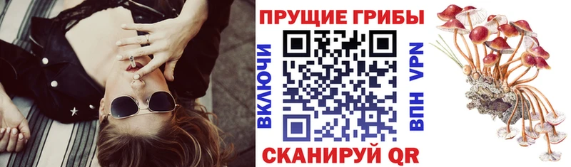 дарк нет телеграм  Кулебаки  Галлюциногенные грибы Magic Shrooms 