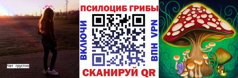 Псилоцибиновые грибы Cubensis Кулебаки